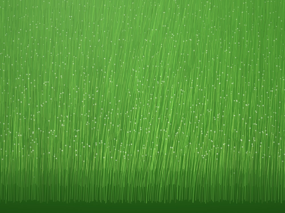 If Wind Had Shape — generative reed grass study, mini preview