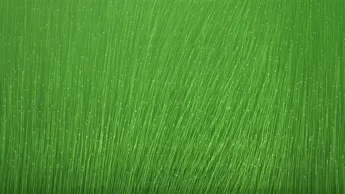 If Wind Had Shape — generative reed grass